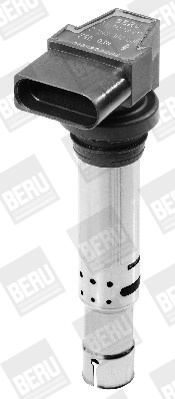 BorgWarner (BERU) bobina de inductie ZSE