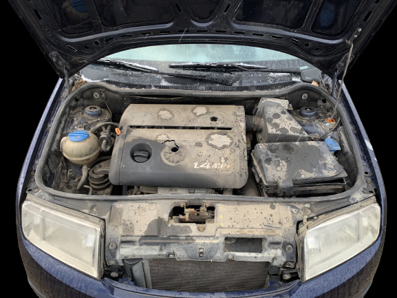Borna minus Skoda Fabia 6Y [1999 - 2004]