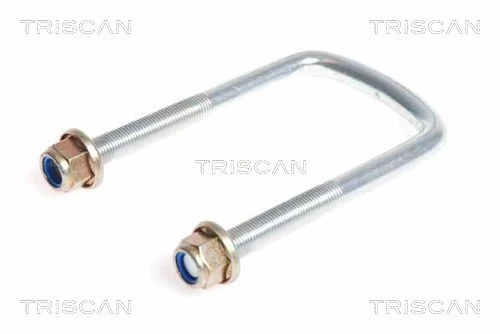Brida arc Triscan RENAULT MASTER I caroserie (T__) 1980-1998 - 8765 250001