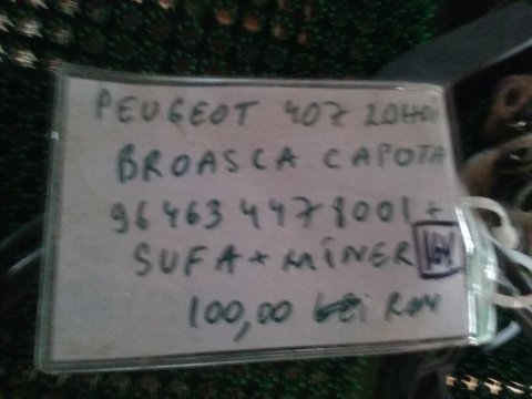 Broasca capota 964634478001 Peugeot 407 2.0 HDI