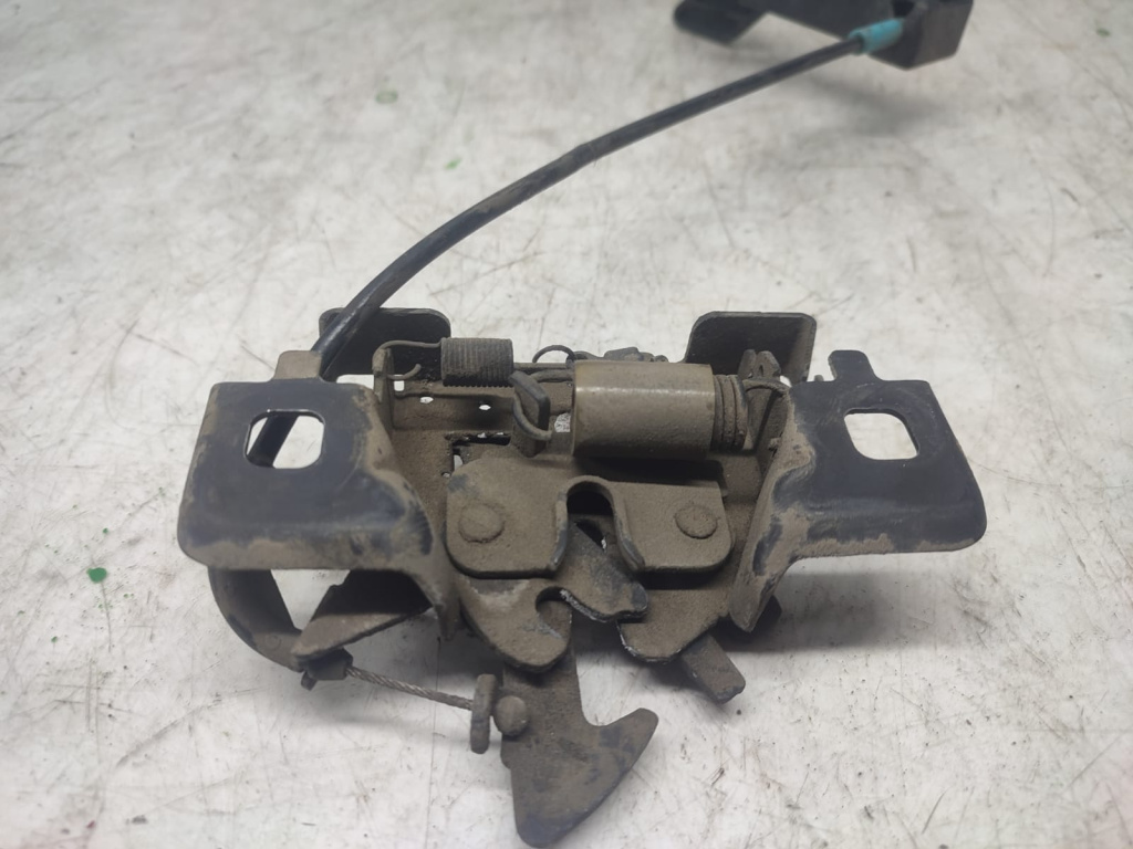Broasca capota Renault Zoe [2012 - 2020] 5AQ601