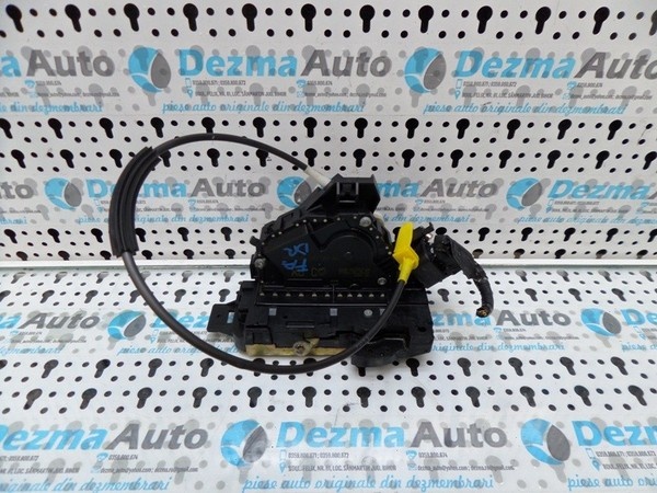 Broasca dreapta fata, 2S4A-A21812-GA, Ford Focus s