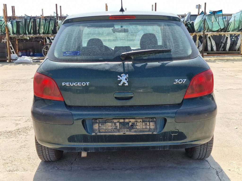 Broasca haion Peugeot 307 2001 1.6 Benzina NFU 80KW/109CP