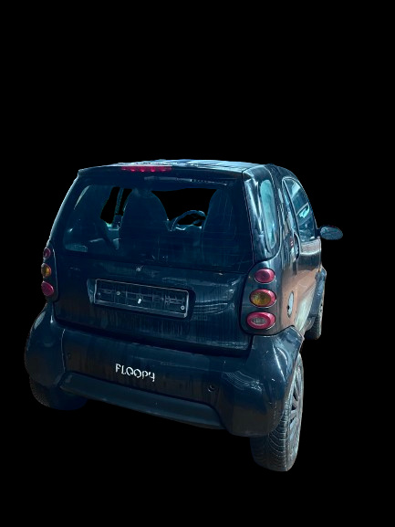 Broasca haion Smart Fortwo [facelift] [2