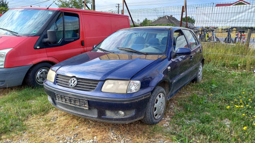 Broasca haion Volkswagen Polo 3 [1994 - 