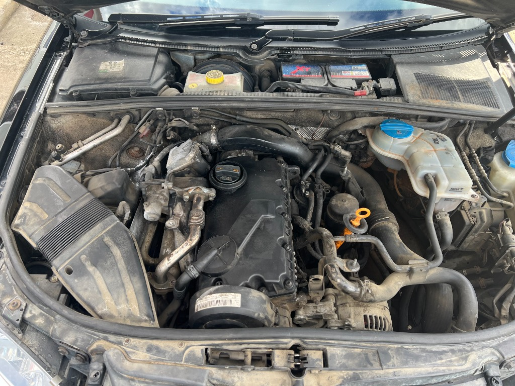 Broasca usa dreapta fata Audi A4 B7 2008