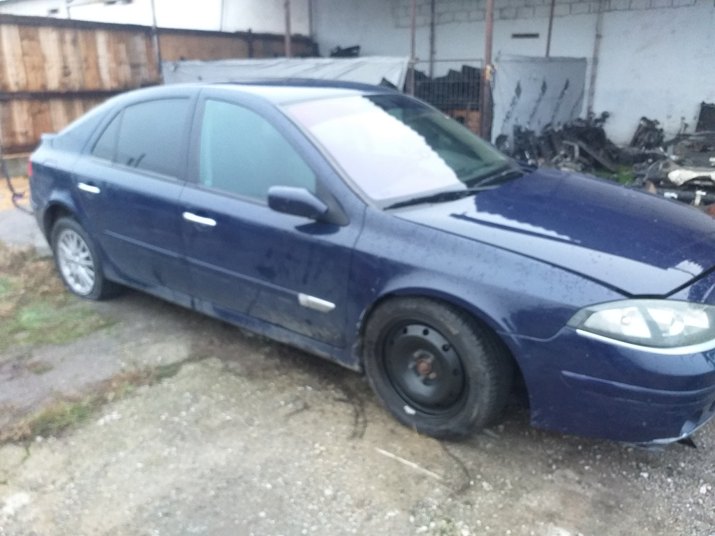 Broasca usa dreapta fata Renault Laguna 