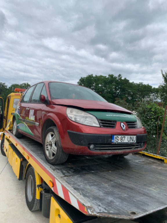 Broasca usa dreapta fata Renault Scenic 