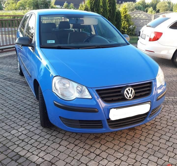 Broasca usa dreapta fata Volkswagen Polo 9N 2009 Hatchback 1.4 TDI