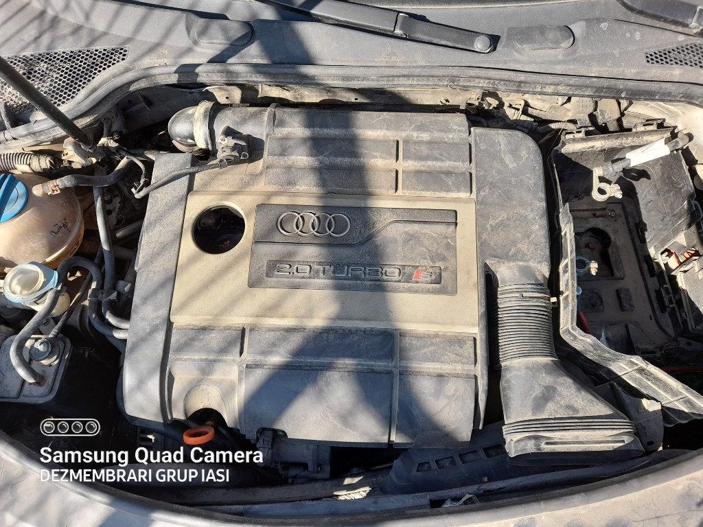 Broasca usa dreapta spate Audi A3 8P 200