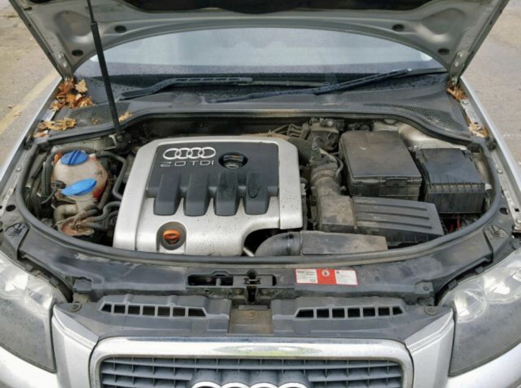 Broasca usa dreapta spate Audi A3 8P 200