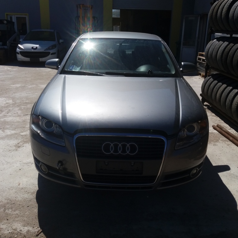 Broasca usa dreapta spate Audi A4 B7 2006 berlina 2.0 d