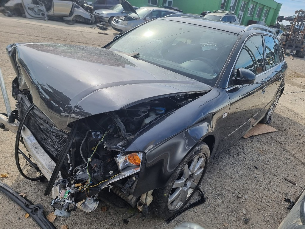 Broasca usa dreapta spate Audi A4 B7 200