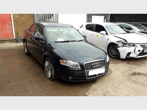 Broasca usa dreapta spate Audi A4 B7 2007 Sedan 2.0 TDi