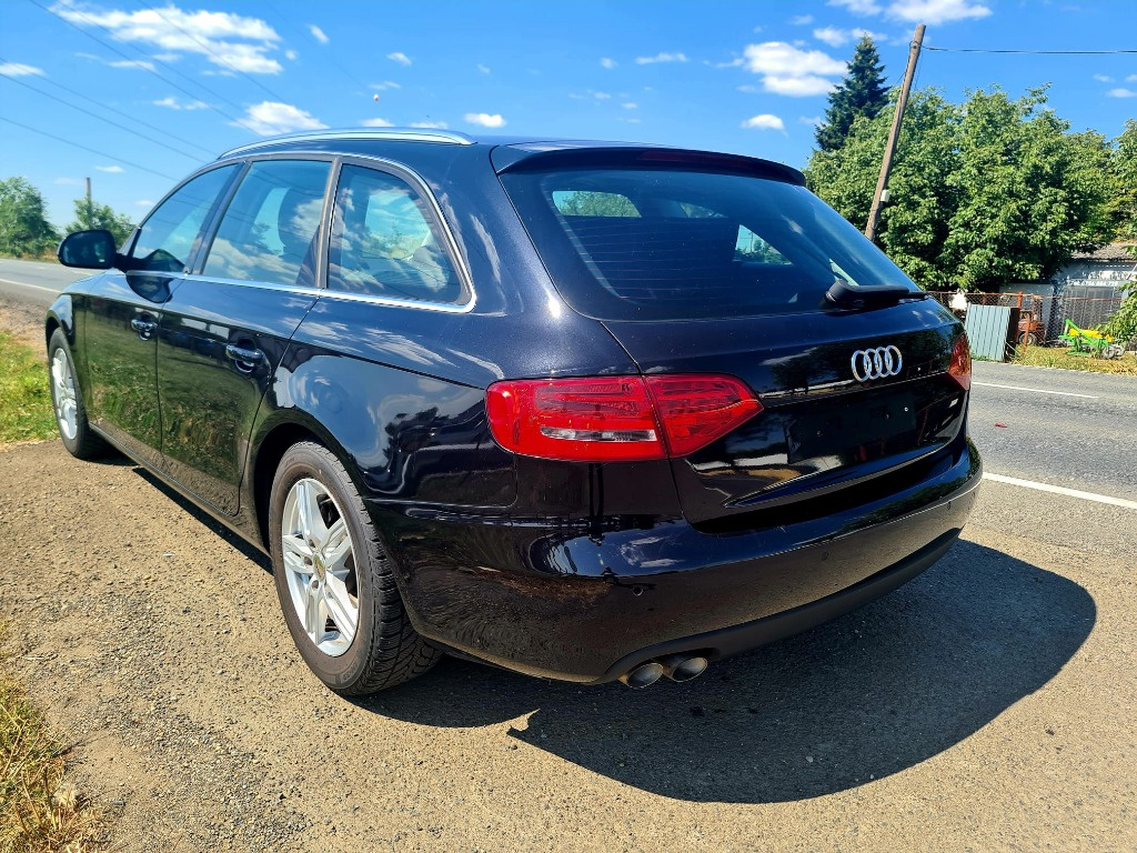 Broasca usa dreapta spate Audi A4 B8 200