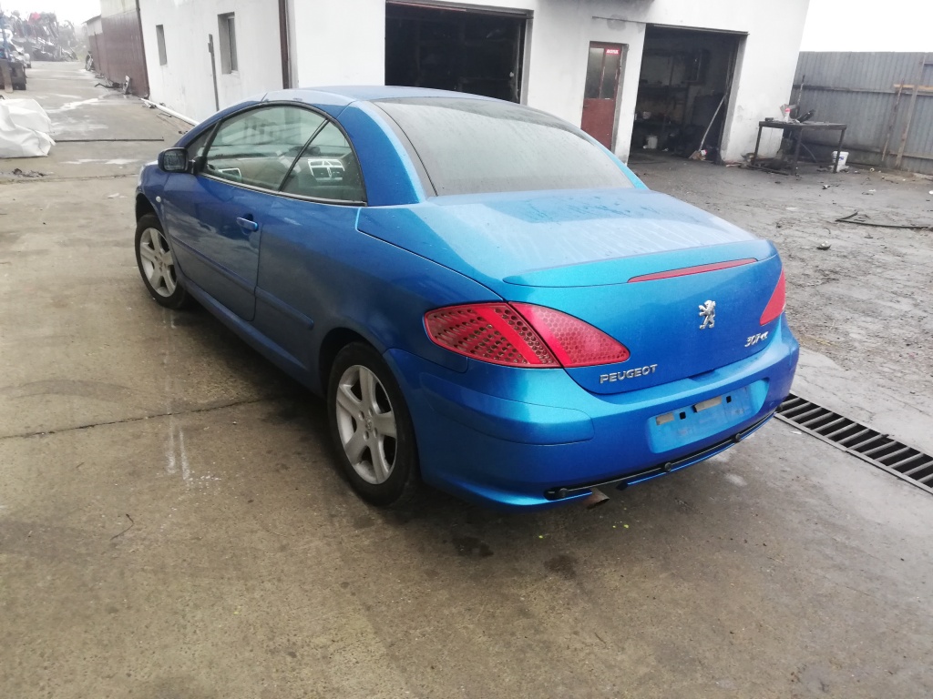 Broasca usa dreapta spate Peugeot 307 cc