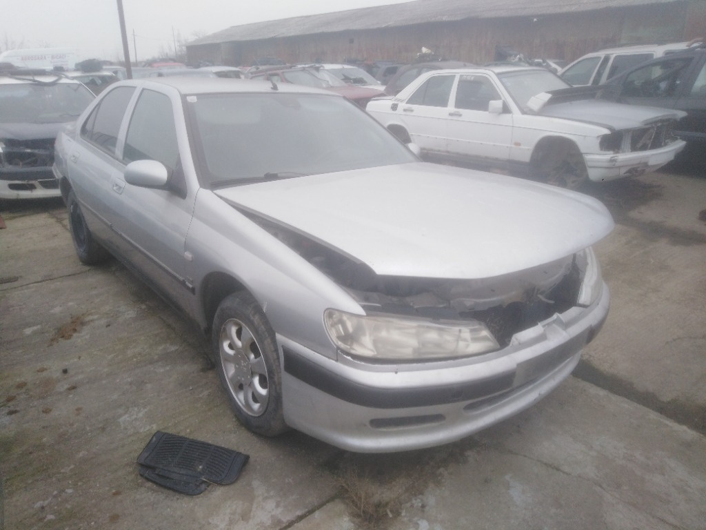 Broasca usa dreapta spate Peugeot 406 20