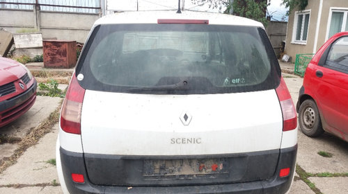 Broasca usa dreapta spate Renault Scenic