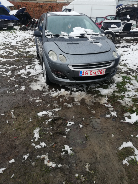 Broasca usa dreapta spate Smart Forfour 2005 Hatch