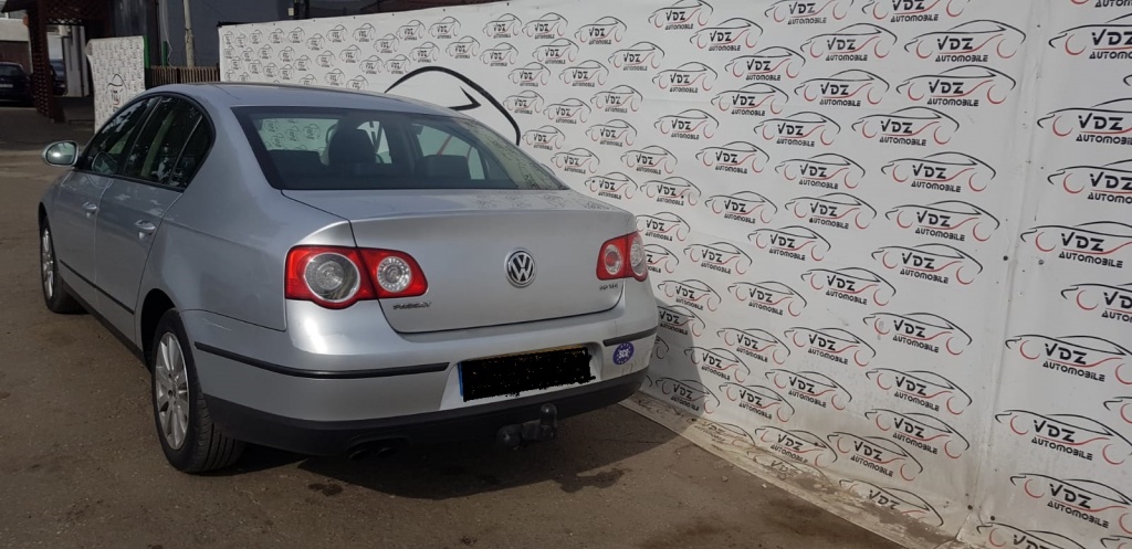 Broasca usa dreapta spate Volkswagen Pas