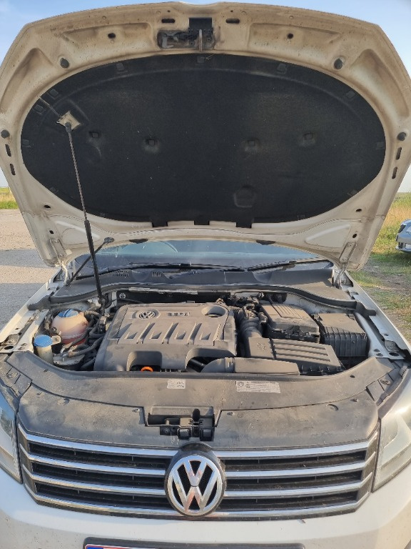 Broasca usa dreapta spate Volkswagen Pas
