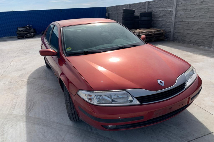 Broasca usa fata dreapta 000662 Renault 
