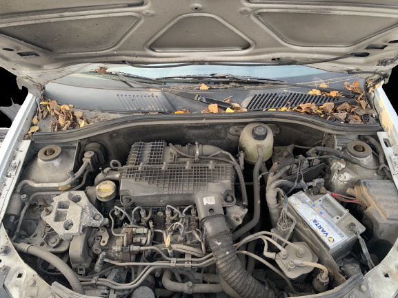 Broasca usa fata dreapta Renault Clio 2 