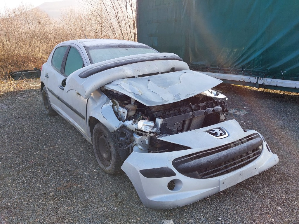 Broasca usa fata Peugeot 207 2007 1.4 Benzina Cod motor KFV(TU3A/TU3AE5) 73CP/54KW