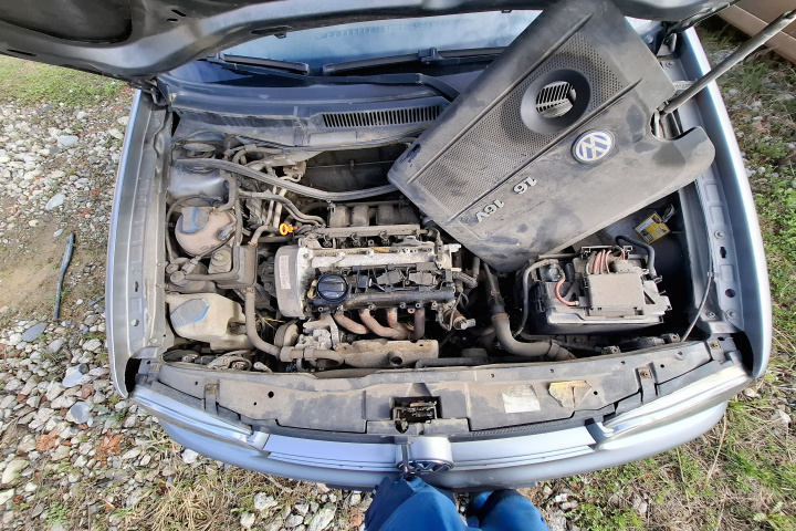 Broasca usa fata stanga Volkswagen VW Go