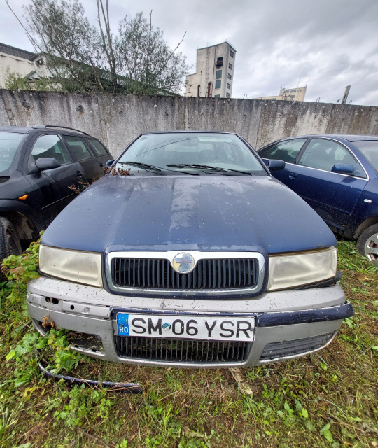 Broasca usa spate dreapta Skoda Octavia [1996 - 20