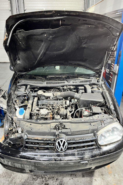 Broasca usa spate stanga Volkswagen VW Golf 4 [199