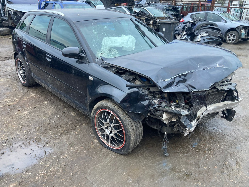 Broasca usa stanga fata Audi A3 8P 2006 