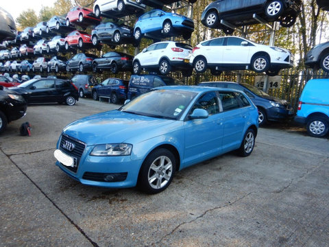 Broasca usa stanga fata Audi A3 8P 2009 HATCHBACK 2.0 IDT CBAB