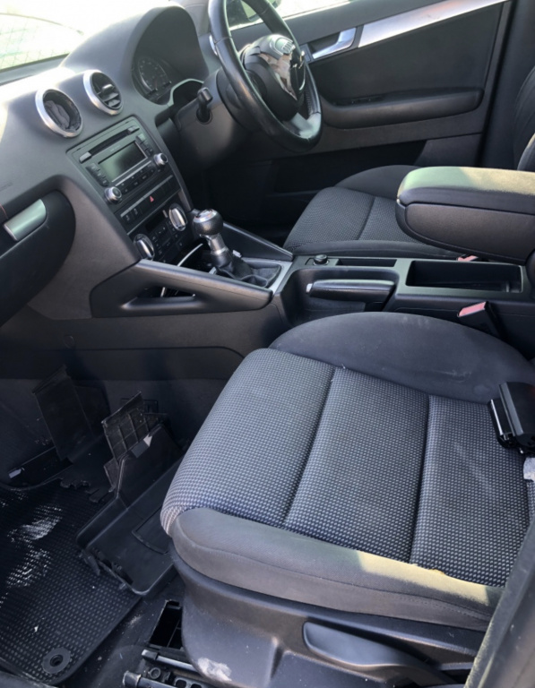 Broasca usa stanga fata Audi A3 8P 2010 