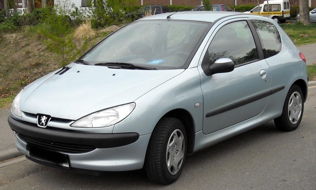 Broasca usa stanga fata Peugeot 206 2006 Hatchback 1.4