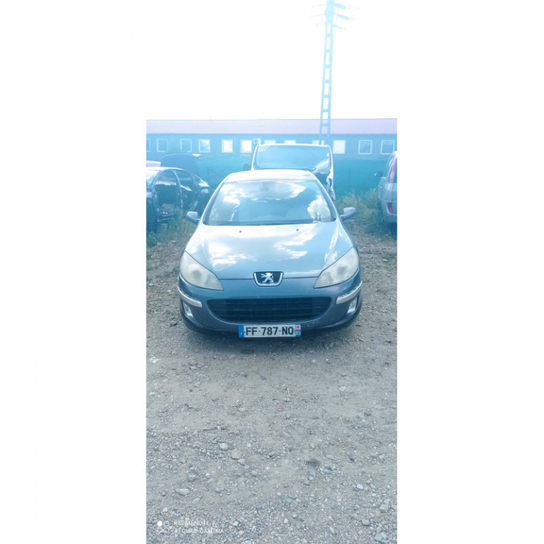 Broasca usa stanga fata Peugeot 407 2006