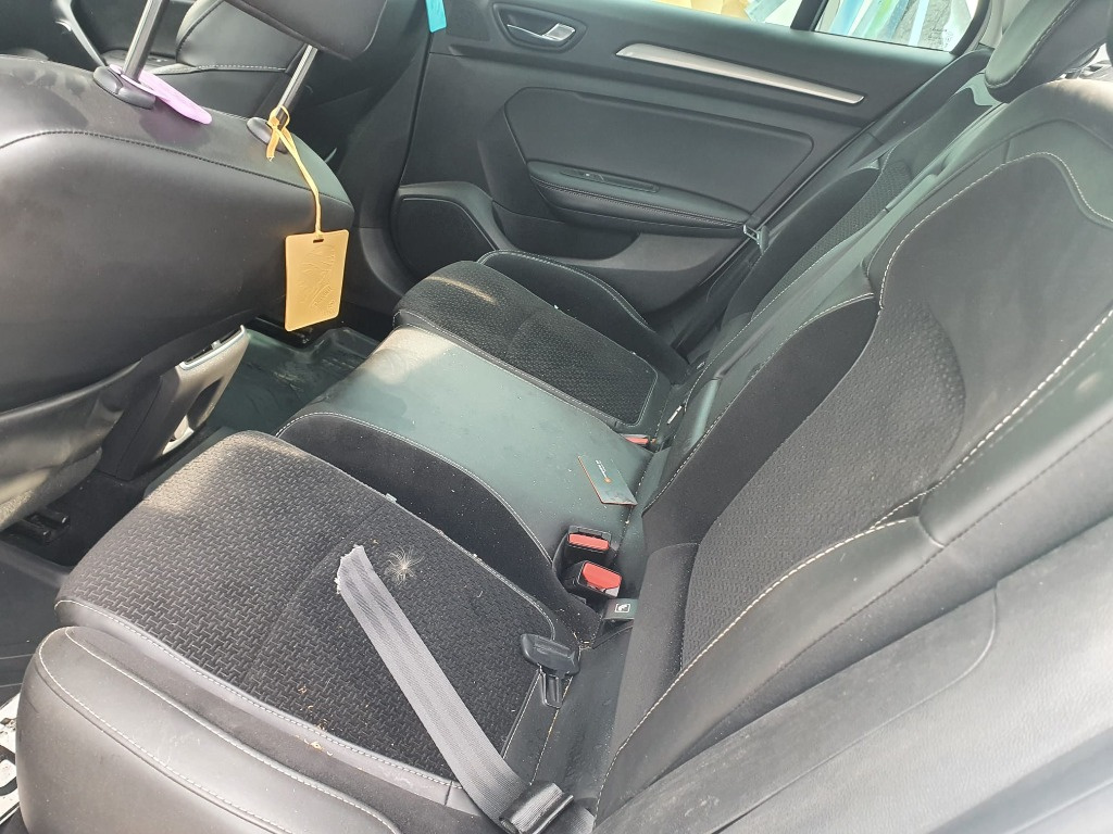 Broasca usa stanga fata Renault Megane 4