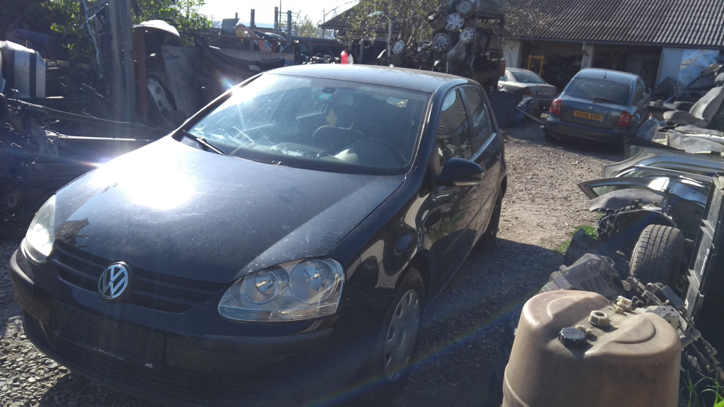 Broasca usa stanga fata Volkswagen Golf 5 2005 Hachbach 1.9