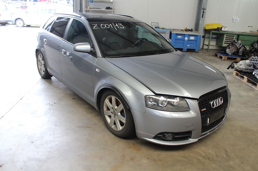 Broasca usa stanga spate Audi A3 8P 2007