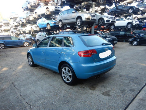 Broasca usa stanga spate Audi A3 8P 2009 HATCHBACK 2.0 IDT CBAB