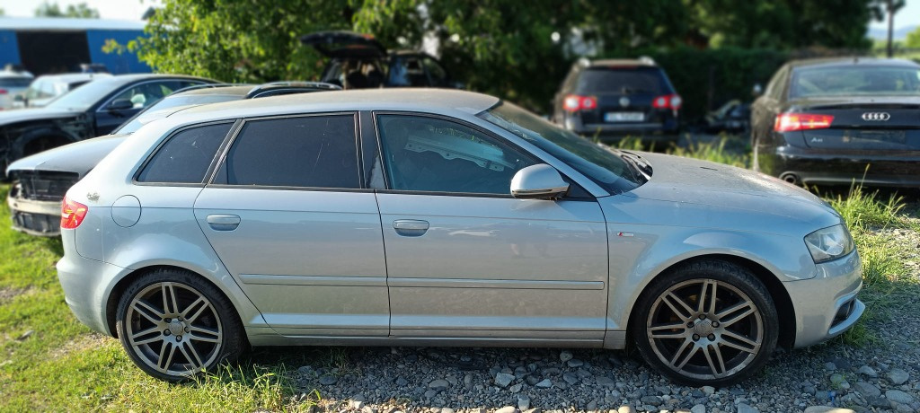 Broasca usa stanga spate Audi A3 8P 2009