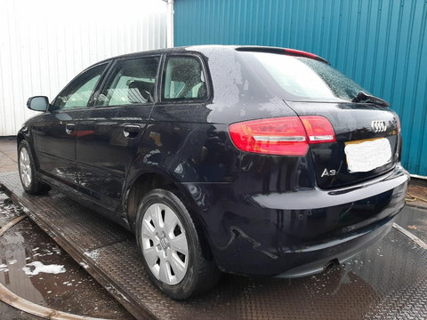 Broasca usa stanga spate Audi A3 8P 2011 Hatchback 2.0 IDT