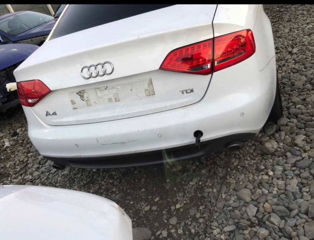 Broasca usa stanga spate Audi A4 B8 2010