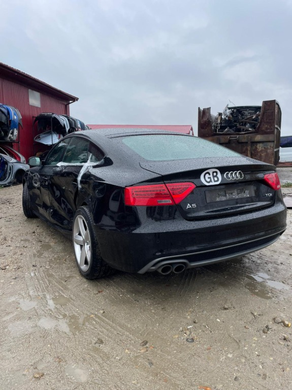 Broasca usa stanga spate Audi A5 2014 fa