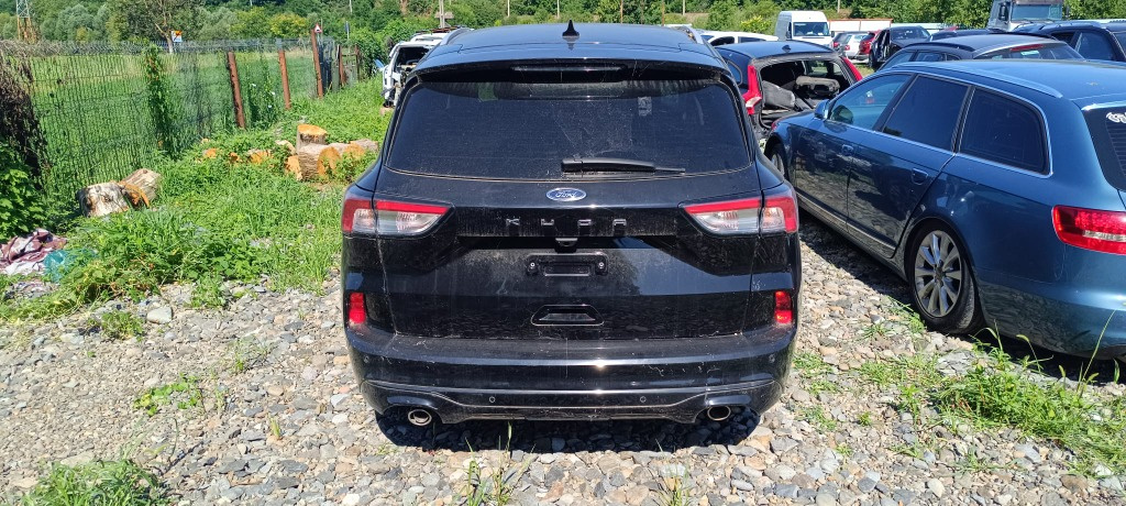 Broasca usa stanga spate Ford Kuga 2019 