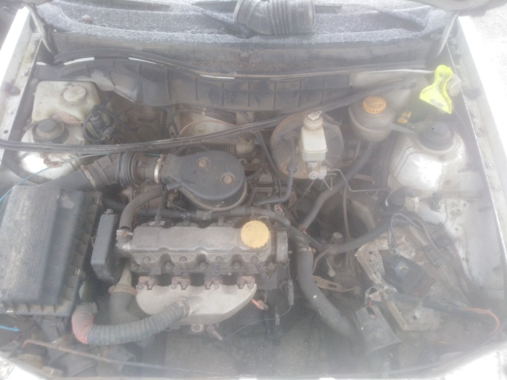 Broasca usa stanga spate Opel Astra F 19
