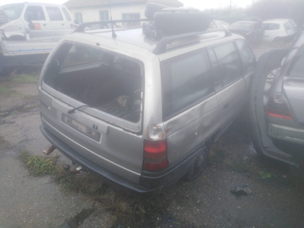 Broasca usa stanga spate Opel Astra F 19