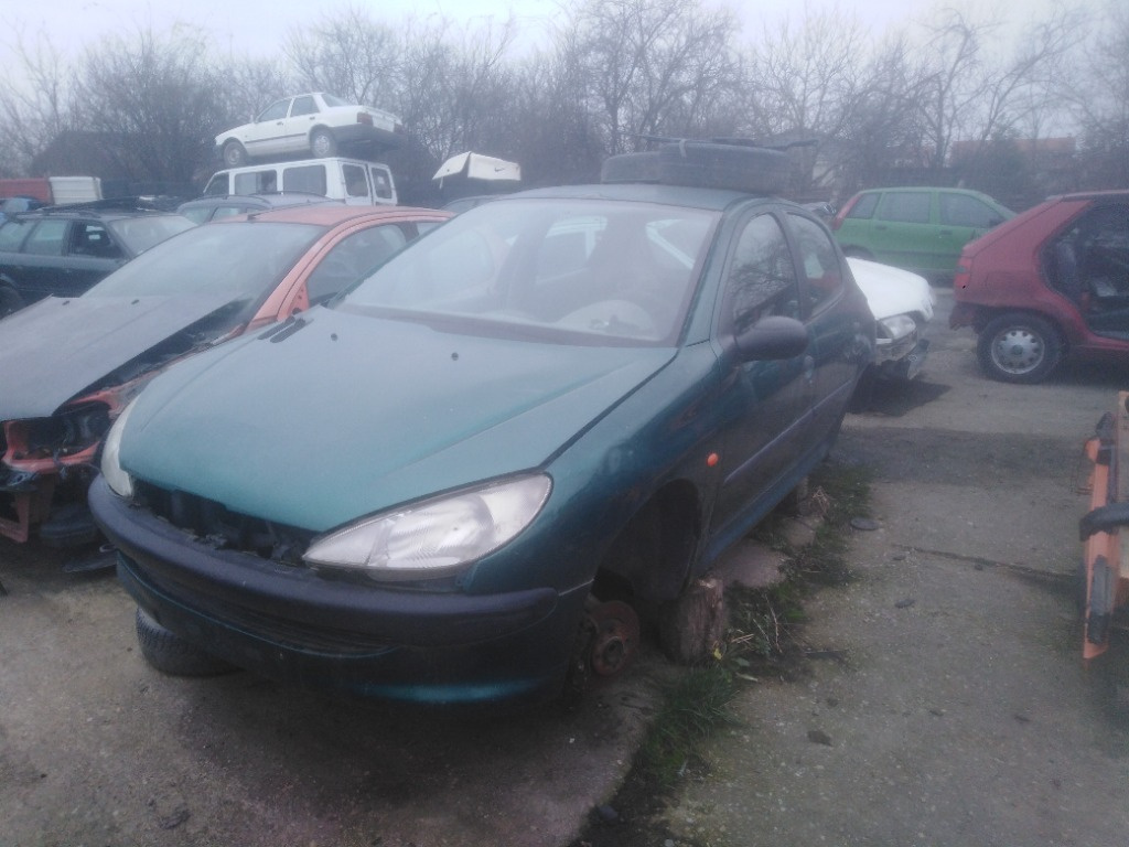 Broasca usa stanga spate Peugeot 206 1999 Hatchbac