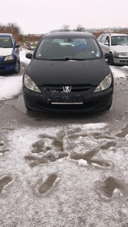 Broasca usa stanga spate Peugeot 307 2003 DIESEL 2