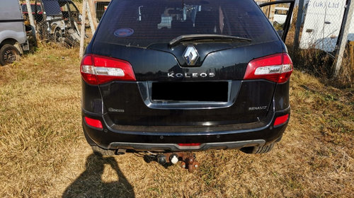 Broasca usa stanga spate Renault Koleos 
